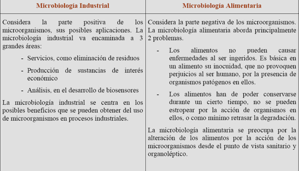 microbiologia-industrial-que-es-y-cuales-son-sus-aplicaciones