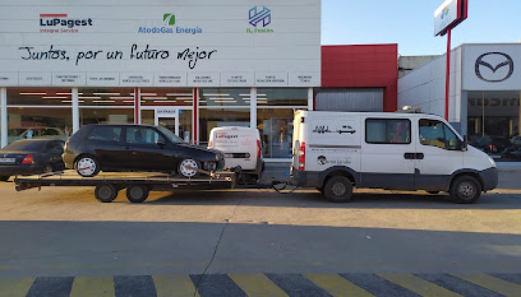 Imagen de TOLEMARTIN