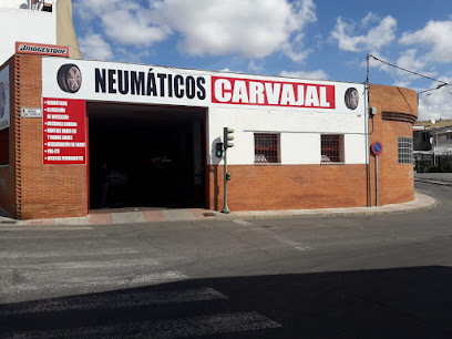 Neumaticos Carvajal
