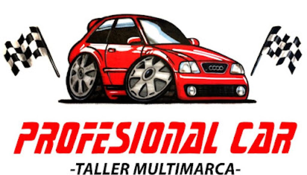 Imagen de Profesional Car