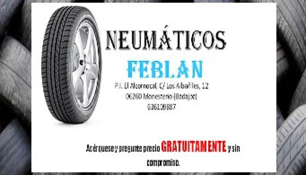 Imagen de Taller de Neumaticos en Monesterio Feblan