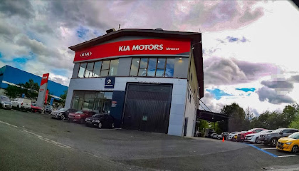 Imagen de Carza Gipuzkoa Peugeot