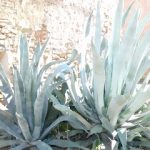 Talleres AscacibaR Talleres AscacibaR