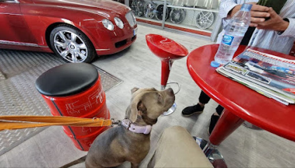 Imagen de Electricidad del Automovil Lazaro Romera