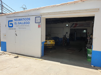 Neumaticos ElGallego