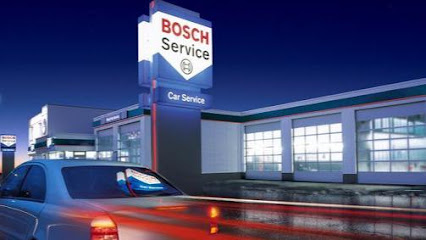 Bosch Car Service Argales Vip Motor