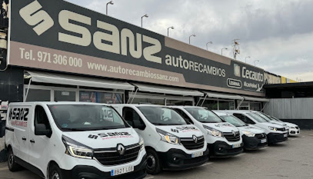 Imagen de Auto Recambios Sanz (Ibiza)
