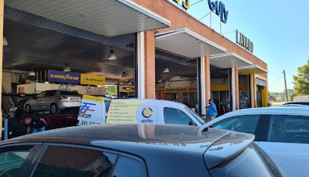 Imagen de Neumaticos Guty