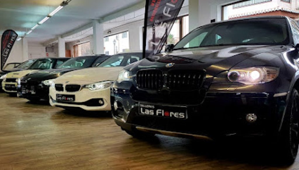 Imagen de LAS FLORES AUTOMOCION (Talleres Las Flores)