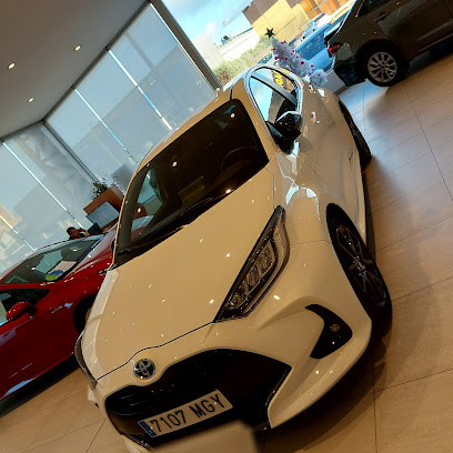 Taller Oficial Toyota Valladolid