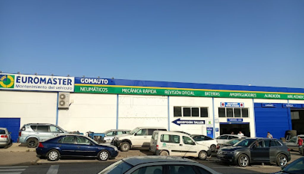 Imagen de Euromaster Gomauto 2006