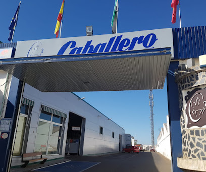 Caballero Automocion