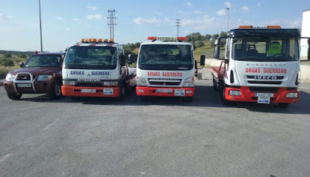 Imagen de Talleres Y Gruas Guerrero