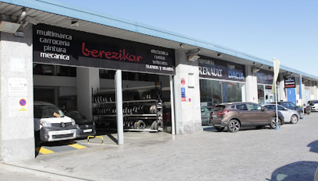 Imagen de BEREZIKAR BERRI