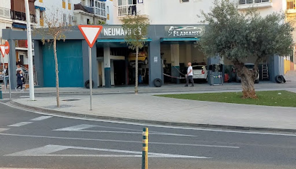 Imagen de NEUMATICOS FLAMANTE