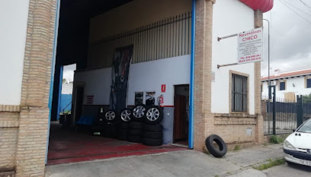 Imagen de NEUMATICOS CHICO