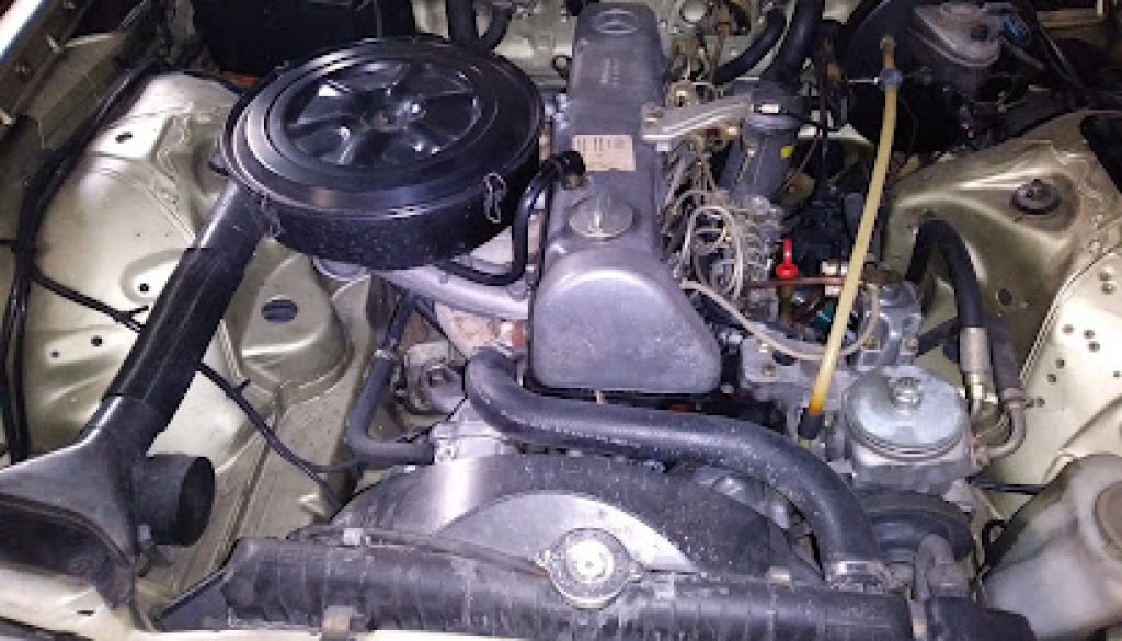 Imagen de Goyauto