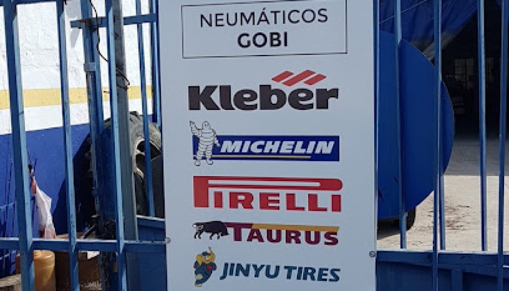 Imagen de Rafael Carmelo Neumaticos Gobi