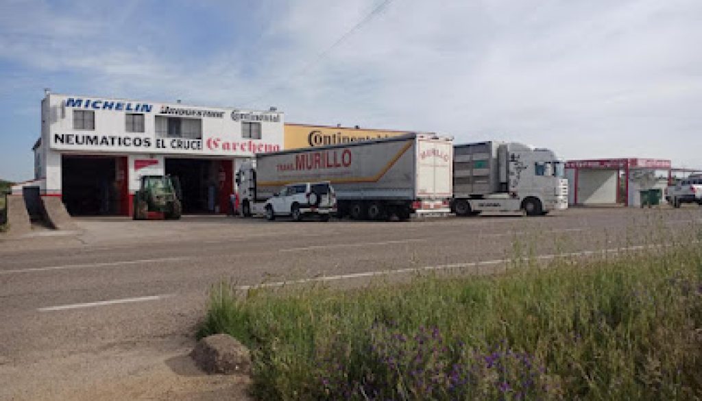 Imagen de NEUMATICOS EL CRUCE CARCHENA SL