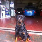 Talleres Sennauto Talleres Sennauto