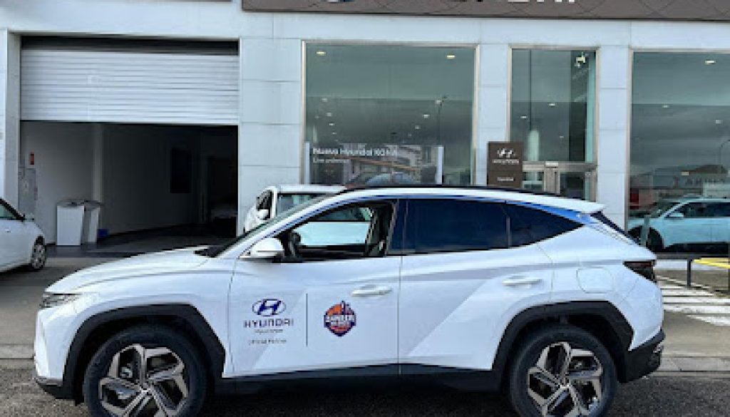 Imagen de Hyundai Hyuconsa