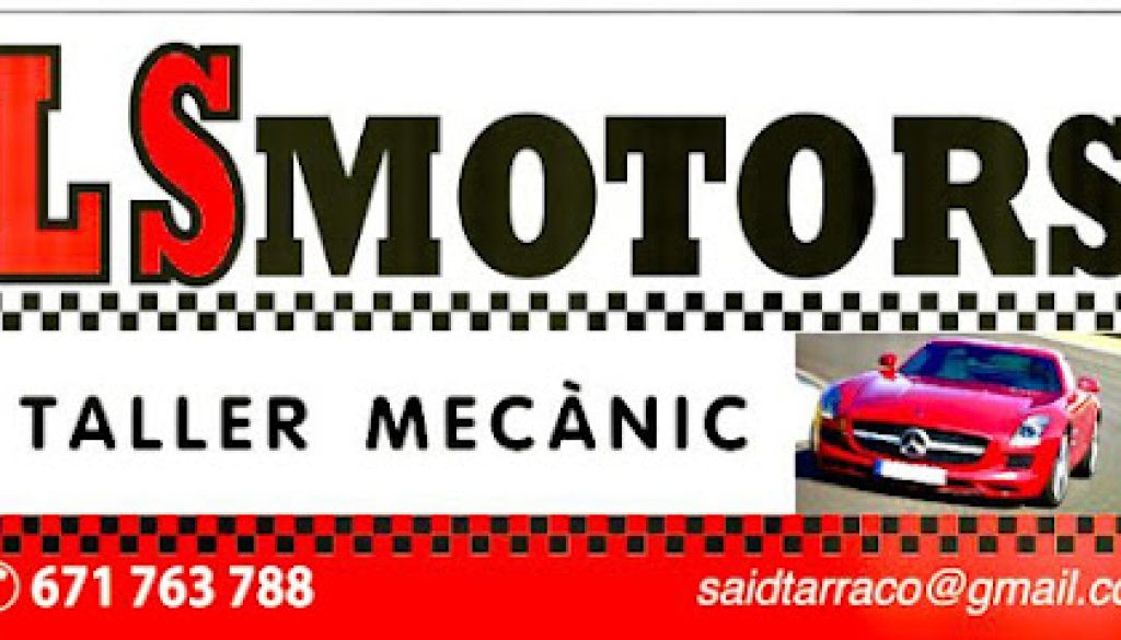 Imagen de LS MOTORS