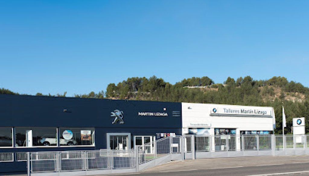Imagen de PEUGEOT Martin Lizaga