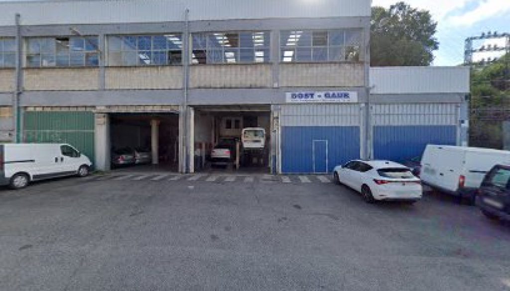 Imagen de Bost Gaur